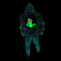 GITD SPLATTER Hoodie - Big Swirl