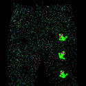 GITD SPLATTER Joggers Big Swirl