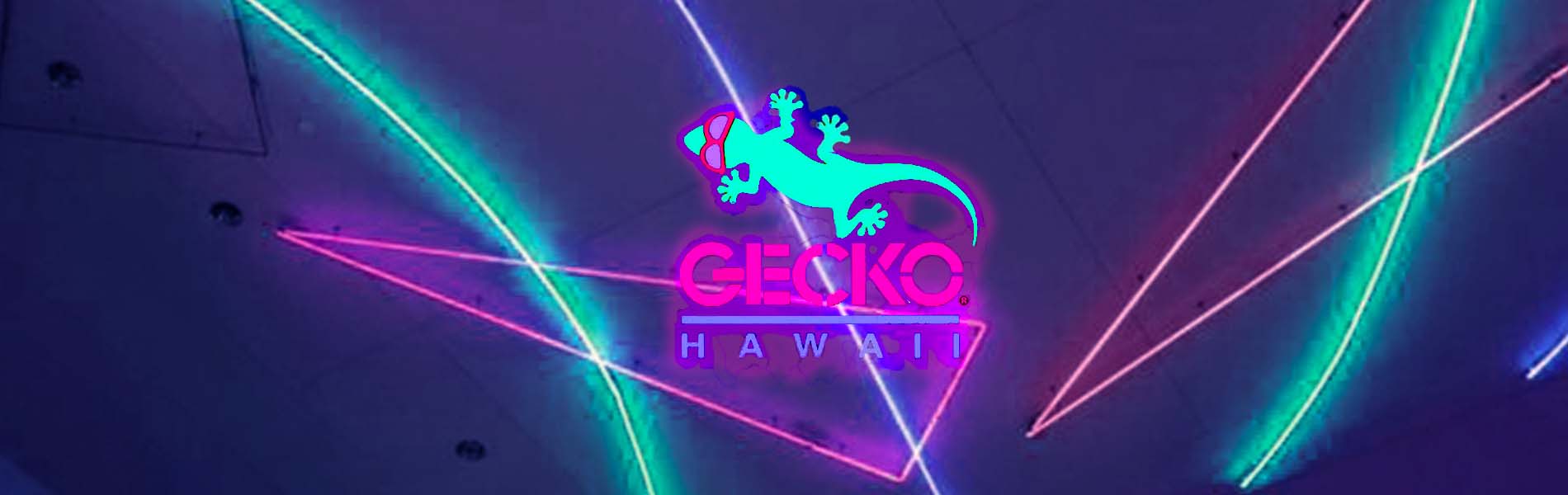 1986 Gecko Watchers Club