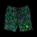 Glow In The Dark Splatter Black Gecko Vision Shorts