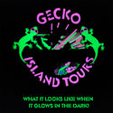 KIDS Gecko Island Tours HYPER Blue To White