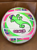 Gecko Hawaii Volleyball