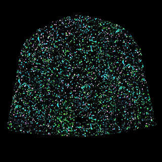 Gecko Hawaii Black Splattered Beanies