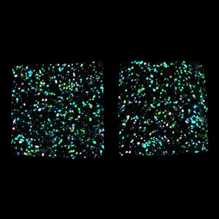 Gecko Retro Radical GITD Splatter Wrist Band Set