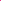 1988 Gecko Bootleg - Hot Pink Neon Tee