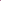 Pink/Purple Gecko Wall "V Full Zip" Windbreaker!