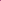 Space Gecko Pink Tie Dye Sweats