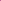 Space Gecko Pink Tie Dye Sweats