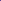 Gecko Wrap Volleys Purple