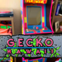 Gecko Hawaii Retro License Plate Cover
