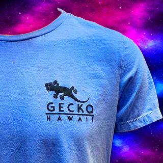 Space Gecko Limited Edition HYPERFLASH: Blue to White